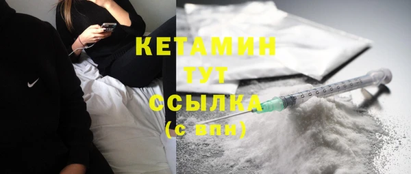 шишки Горно-Алтайск