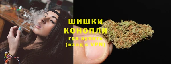 шишки Горно-Алтайск