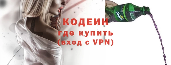 шишки Горно-Алтайск