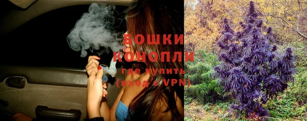 шишки Горно-Алтайск