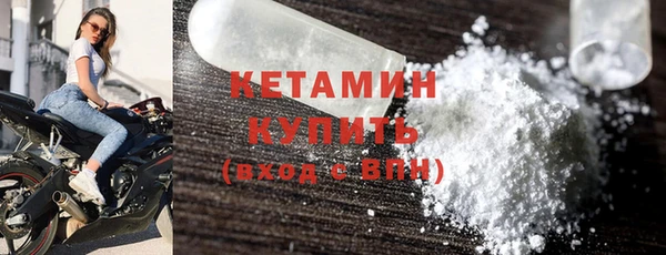 шишки Горно-Алтайск