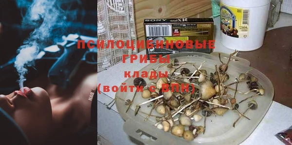 соль курить ск Горнозаводск