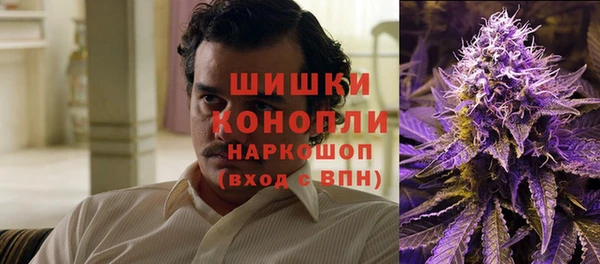 крисы Гусь-Хрустальный